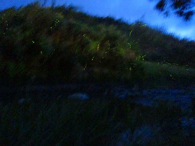 e0224118_93829.jpg