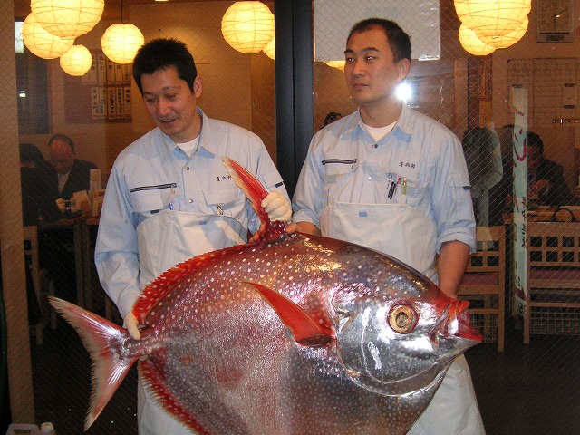 まんだいのお刺身 沖縄の風 まんだいのお刺身 沖縄の風