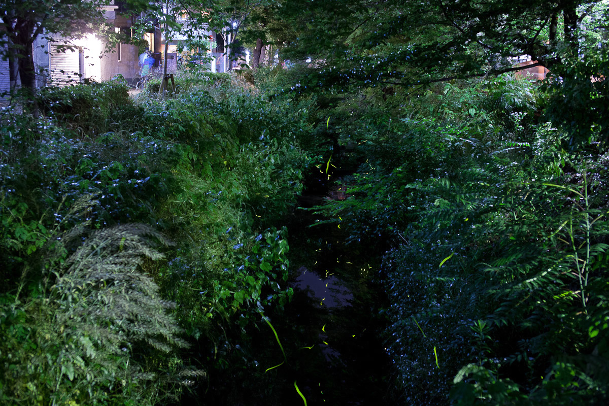 Sweet Water 2012 in Kyoto_c0191021_1523949.jpg