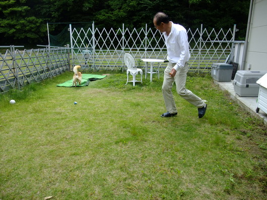 c0227522_12405276.jpg