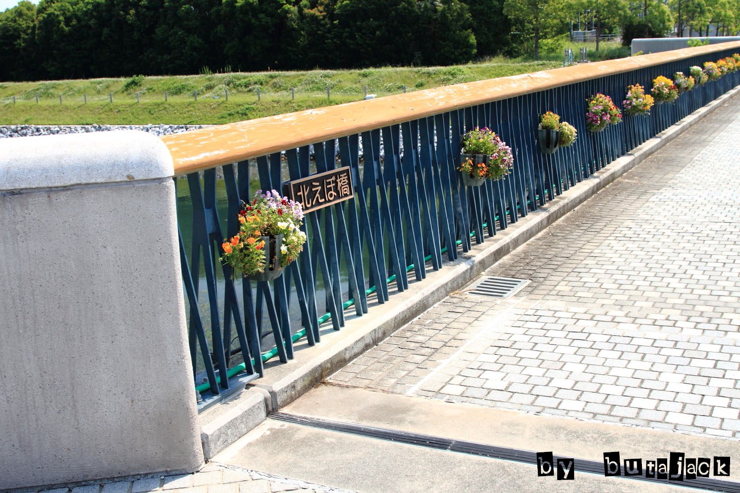 e0220828_23175694.jpg