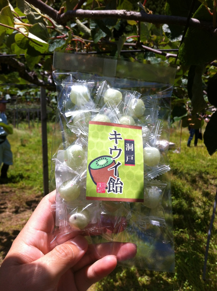 ついにキウイ飴発売!_a0026530_1617947.jpg