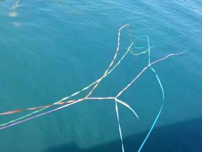 e0202431_163511.jpg