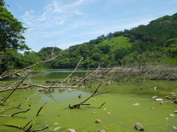a0243432_21185318.jpg