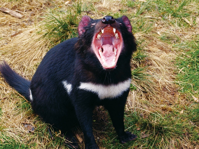 相原正明　スライドトークショウ　in 阿波徳島_f0050534_22451280.jpg