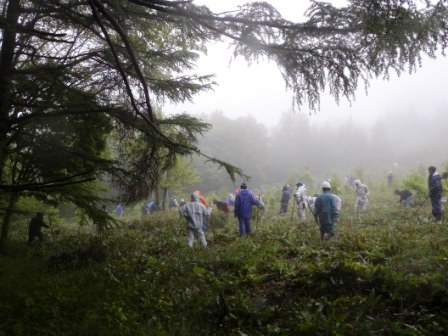 雨の早坂高原「未来を育てる育樹祭」_b0206037_1444836.jpg