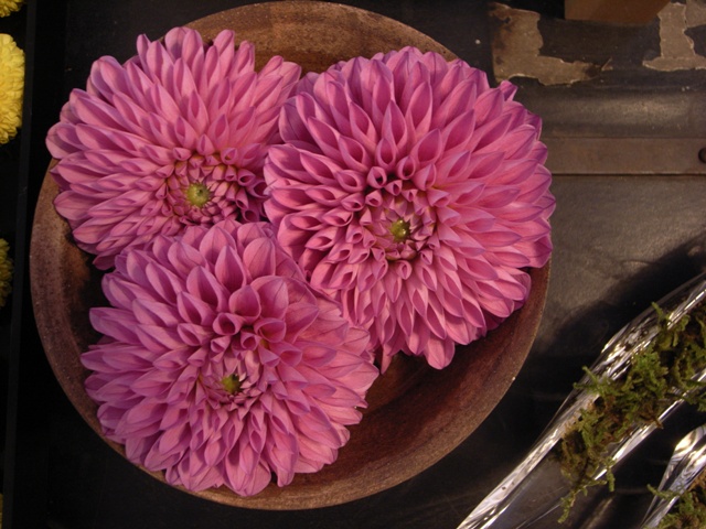 a0087341_9212575.jpg