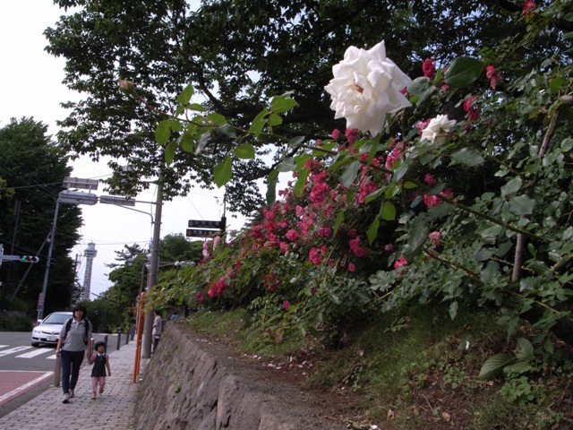 a0087341_9224325.jpg