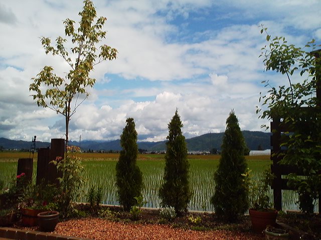 a0272241_11294858.jpg