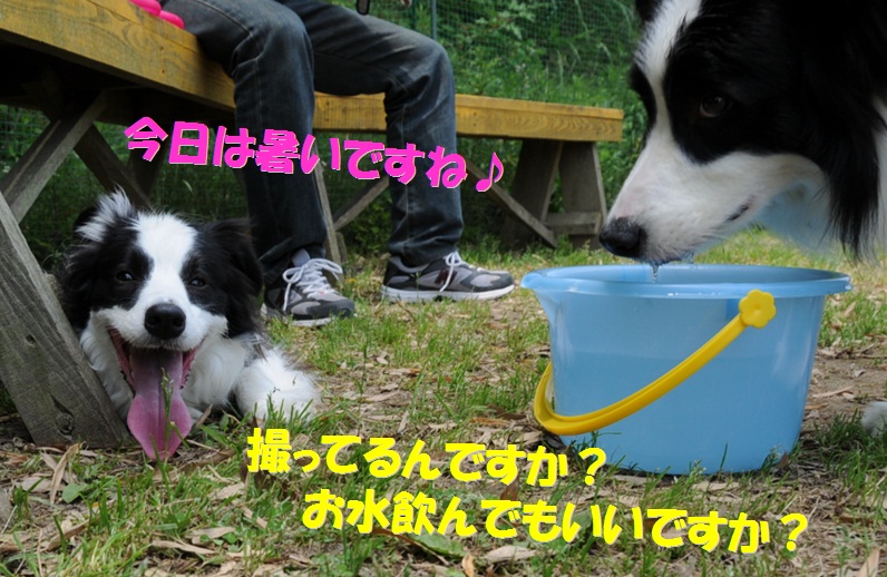 c0147241_2224190.jpg
