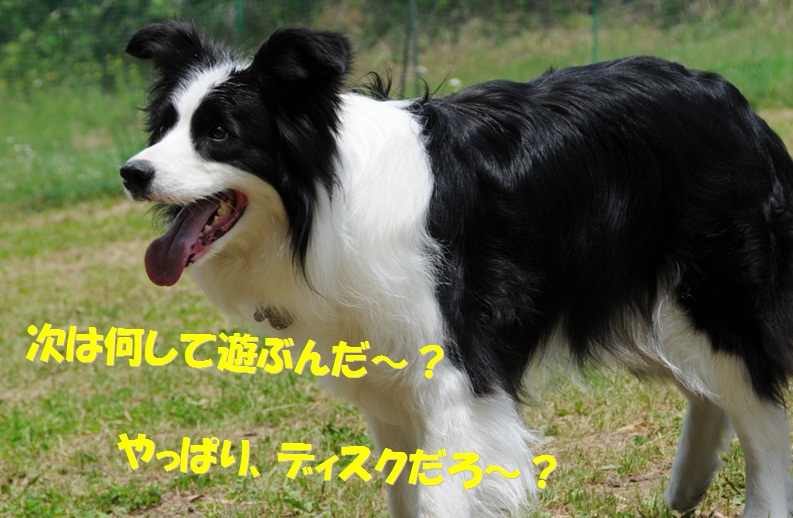 c0147241_2224879.jpg