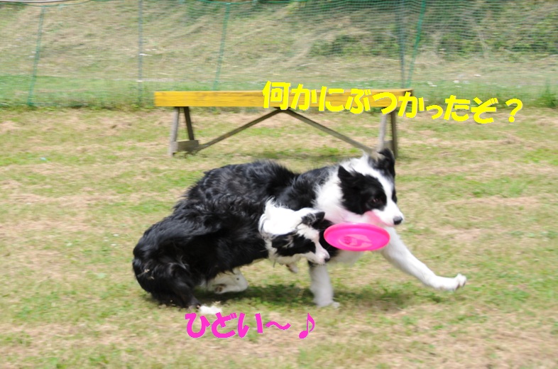 c0147241_223128.jpg