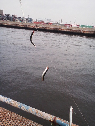 d0204043_011527.jpg