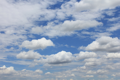 b0245048_2155524.jpg