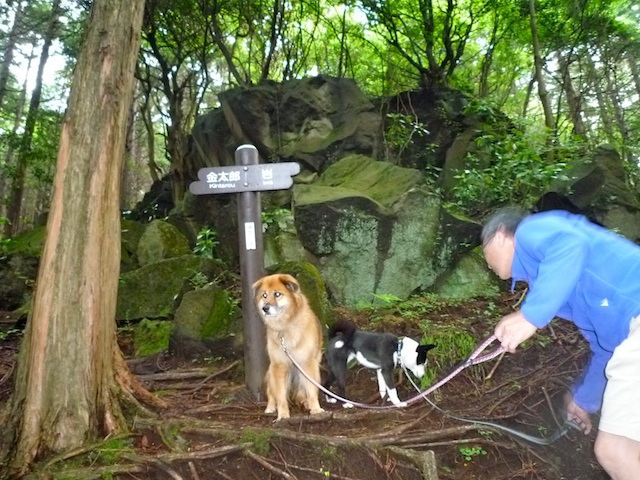 犬連れ旅＠箱根_f0034156_2151865.jpg