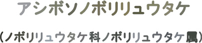 アシボソノボリリュウタケ (麻ブログにわかきのこ図鑑)_d0051963_22155889.jpg