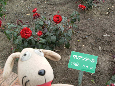 c0158573_1052566.jpg