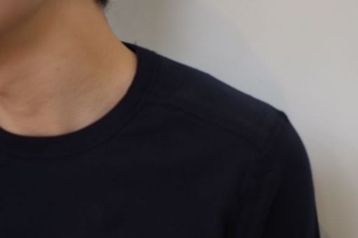 wings+horns ~12SS~_e0152373_1981697.jpg