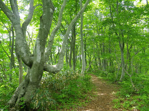 c0002874_7172636.jpg