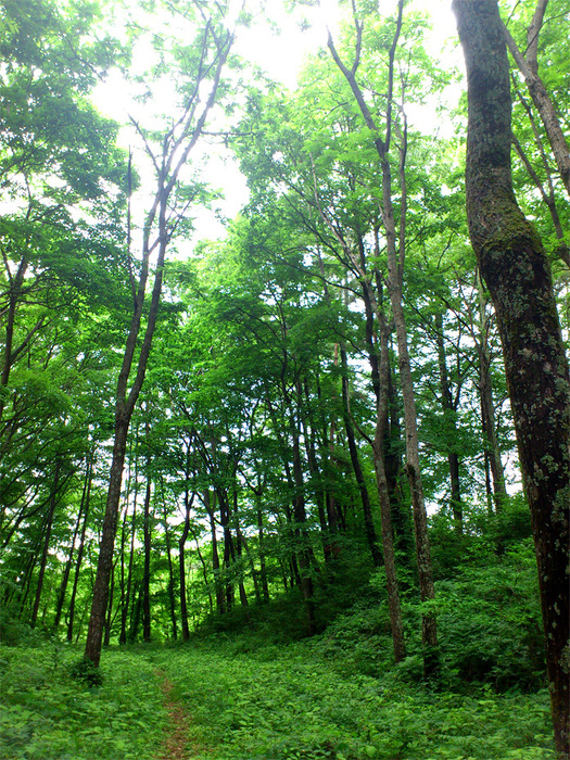 c0220374_17164534.jpg