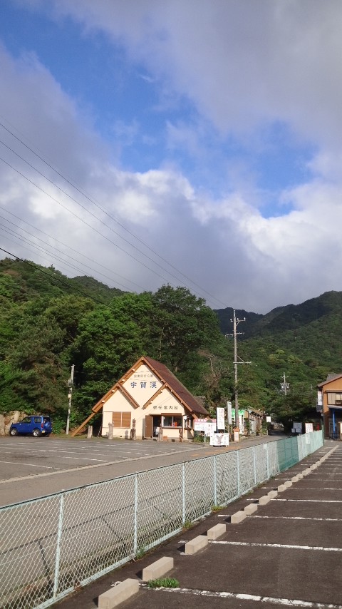 曇り 竜ヶ岳 いなべ市 三重県_a0255577_6325010.jpg