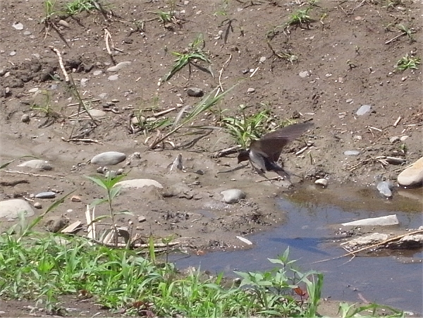 c0091679_14545464.jpg
