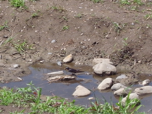 c0091679_1455533.jpg