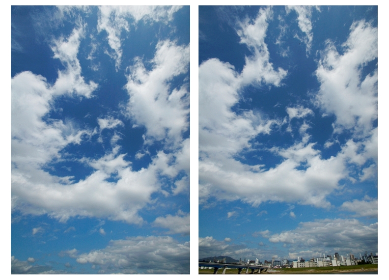 雨上がりの快晴は_f0189086_817237.jpg