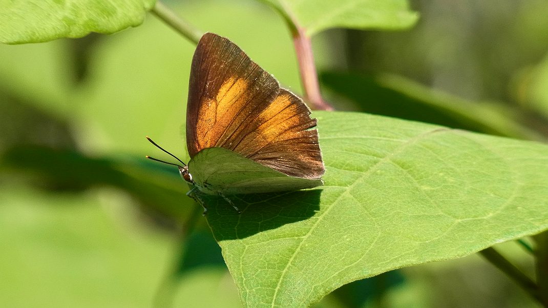 a0152692_18393142.jpg