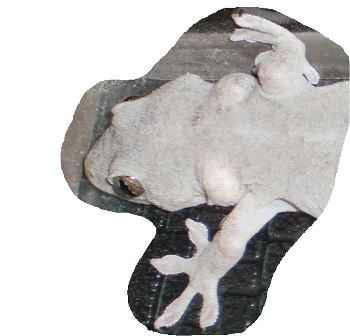 f0212993_231218.png