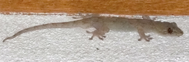 f0212993_2362656.png