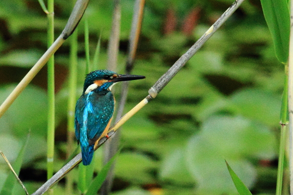 b0236595_8401668.jpg