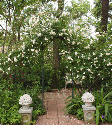 Rose Garden Sakano_c0204801_21535148.gif