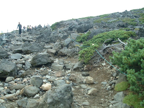 a0271502_939161.jpg