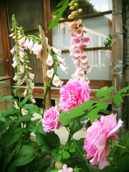 d0077603_16125055.jpg