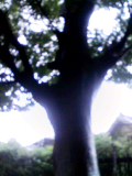 e0192203_10363661.jpg