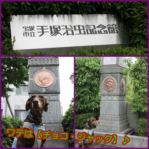 e0100007_2244241.jpg