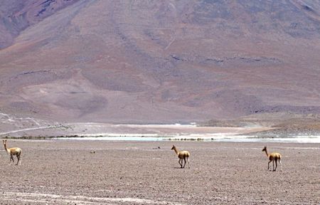 b0051109_8582685.jpg