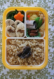 鶏ささみ梅ロール弁当_b0217309_3552175.jpg