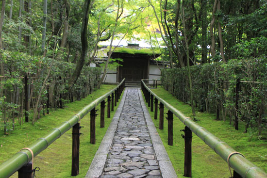 大徳寺　高桐院_e0048413_22171752.jpg