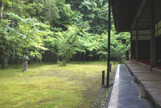 大徳寺 高桐院_e0048413_22183037.jpg