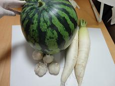 大根、にんにく、スイカ_f0206213_15455228.jpg