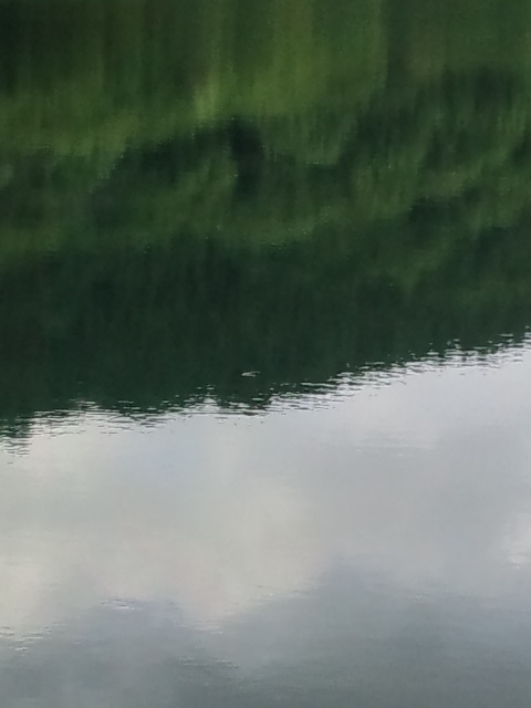 b0207514_20595783.jpg