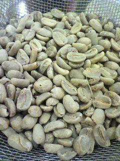 a0247515_18355864.jpg