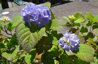 c0110117_10514623.jpg