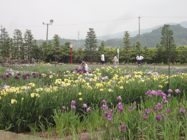 d0004617_1435144.jpg