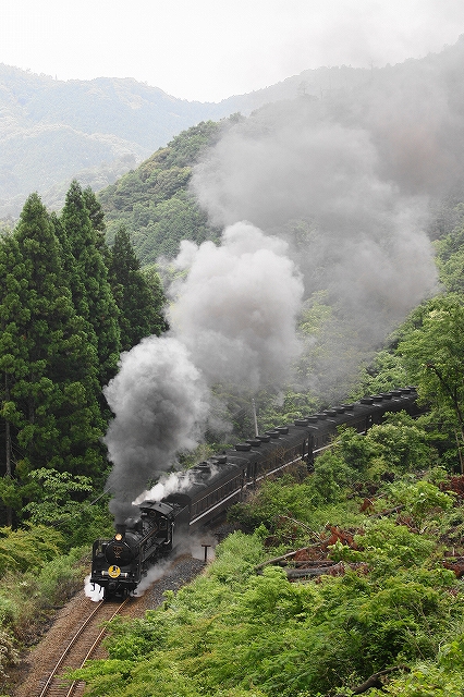 2012年6月　梅雨？空梅雨？のやまぐち号_f0233120_2128445.jpg