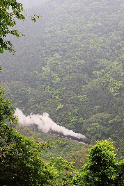 2012年6月　梅雨？空梅雨？のやまぐち号_f0233120_21382811.jpg