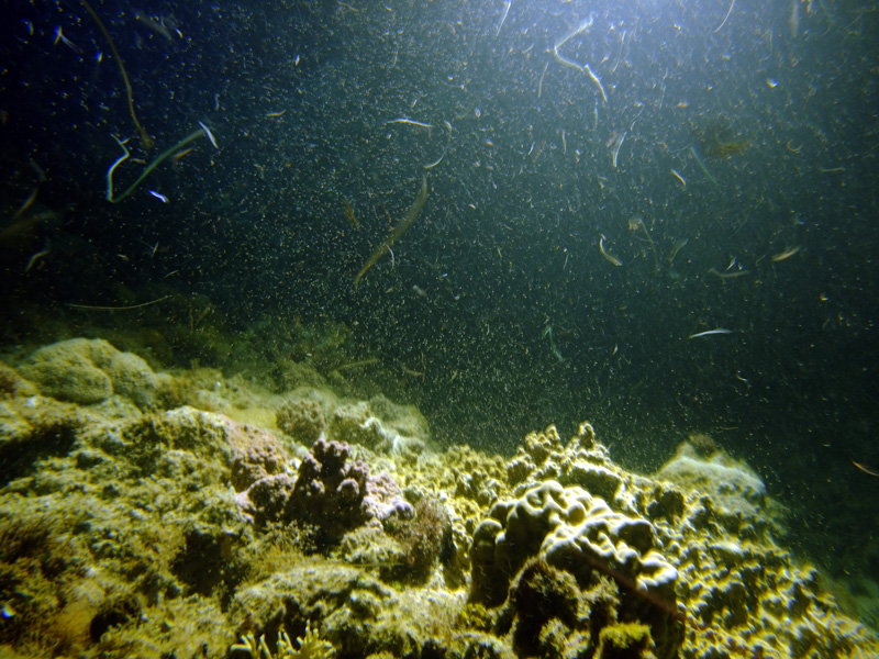 e0189021_20572357.jpg
