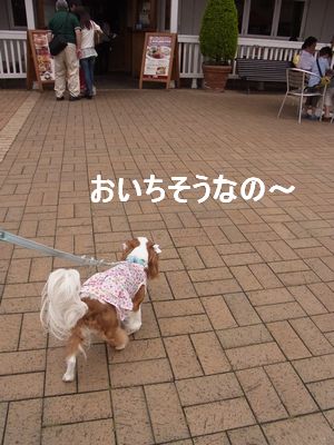 f0214121_17535098.jpg
